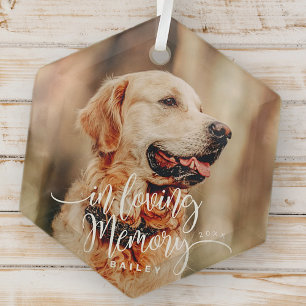In Love Memory Pet Memorial Simple Modern Foto Ornament Aus Glas