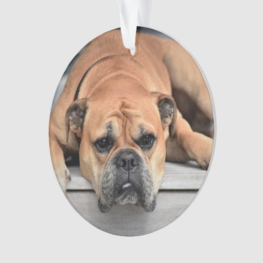 In Love Memory Pet Weihnachts-Gedenkschmuck Ornament (Vorderseite)