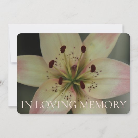 In Love Memory Pink Lily Einladung (Vorderseite)