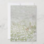 In Love Memory Simple White Meadow Funeral Foto Einladung (Rückseite)