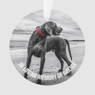 In Loving Memory Andenken-Foto-Gedenkstätte Ornament