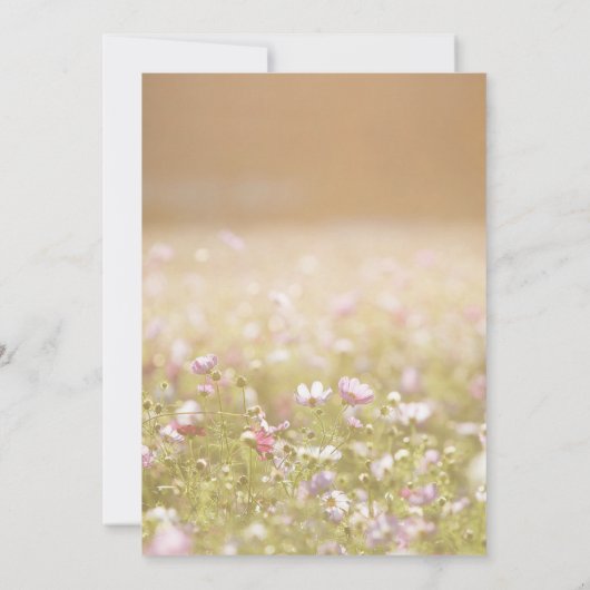 In Loving Memory Beige Meadow Funeral Photo Einladung (Rückseite)