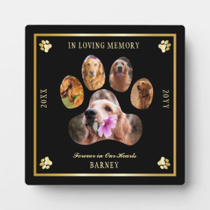 In Loving Memory Foto Haustier Gedenkstein - Schwa Fotoplatte