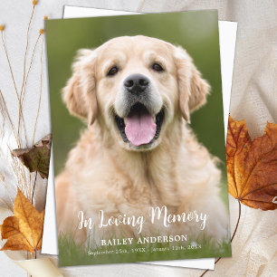 In Loving Memory Pet Memorial Modern Photo Dankeskarte