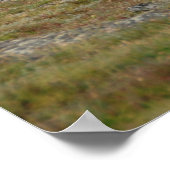 In Majestät gekrönt Poster (Ecke)