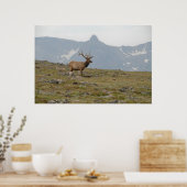 In Majestät gekrönt Poster (Küche)