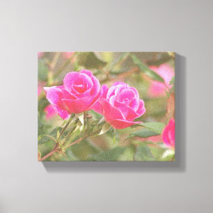 In meinem Garten, die Rose 2, digital verkörpert Leinwanddruck