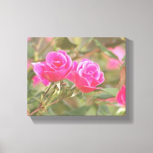 In meinem Garten, die Rose 2, digital verkörpert Leinwanddruck (Vorderseite)