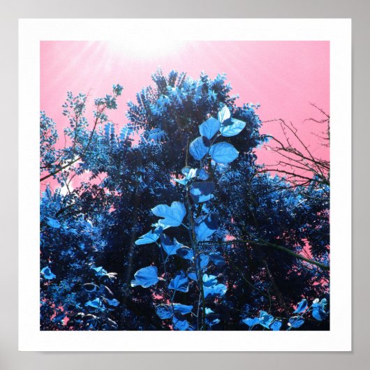 In meiner Blues Poster (Vorne)