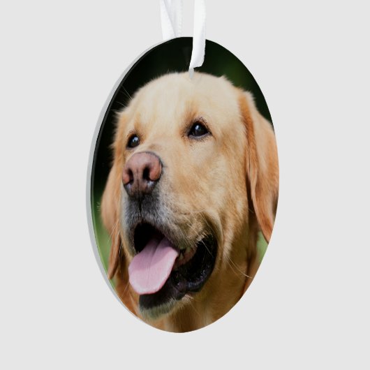 In Memory - Gold-Labrador - anpassbare Memorial-Fu Ornament (Vorderseite)