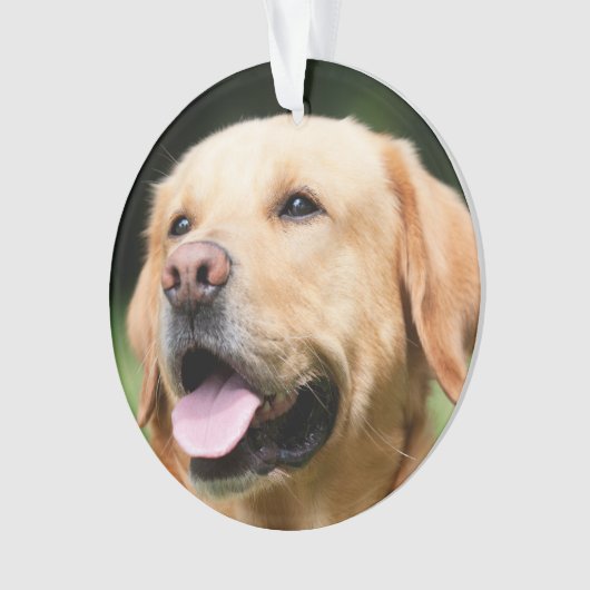 In Memory - Gold-Labrador - anpassbare Memorial-Fu Ornament (Vorderseite)