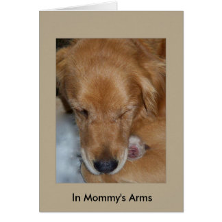 In Mommy's Arms