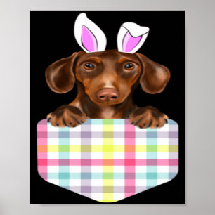 In Osterkariert Brauner Dachshund-Hase Poster