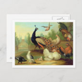In Peacock, Doves, Chickens and a Jay in a Park Postkarte (Vorne/Hinten)
