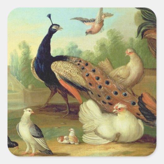In Peacock, Doves, Chickens and a Jay in a Park Quadratischer Aufkleber (Vorderseite)