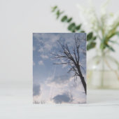 in Richtung Himmel Postkarte (Stehend Vorderseite)