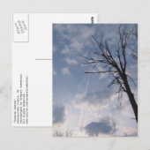 in Richtung Himmel Postkarte (Vorne/Hinten)