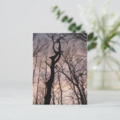 in Richtung Himmel Postkarte (Stehend Vorderseite)