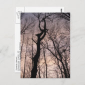 in Richtung Himmel Postkarte (Vorne/Hinten)