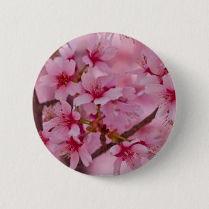In Rosa gebadete japanische Kirschblüten Button