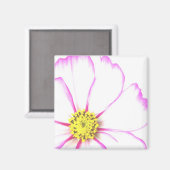 in rosa geschnitten magnet (Vorderseite/Rückseite)