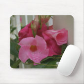 In rosa M_70 Mousepad (Mit Mouse)