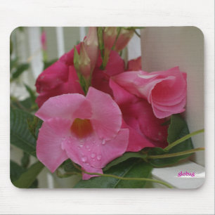 In rosa M_70 Mousepad