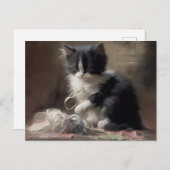 In Schwarz-Weiß-Kitten verworren Postkarte (Vorne/Hinten)