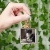 In Schwarz-Weiß-Kitten verworren Schlüsselanhänger (Hand)