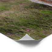 In Scrub Stehender neuer Forest Poster (Ecke)