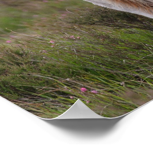 In Scrub Stehender neuer Forest Poster (Ecke)