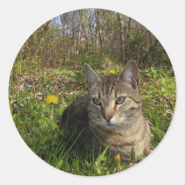 In seiner Komfort-Zone Runder Aufkleber