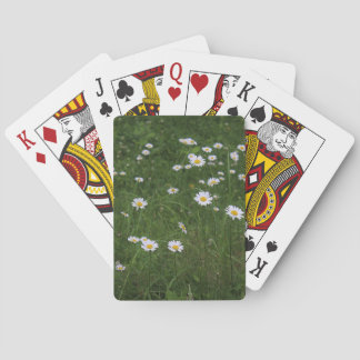In seiner Kuschelecke Spielkarten