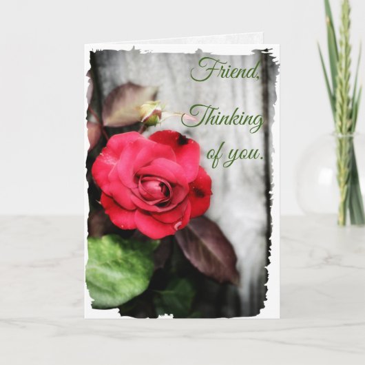 In seiner liebevollen Pflege (Vorderseite)