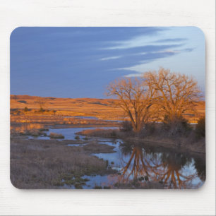 In Sonnenuntergangslicht getaucht der Calamus Rive Mousepad