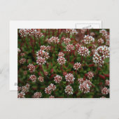 In spring Postcards Postkarte (Vorne/Hinten)