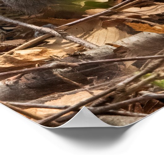 In the Brush Poster (Ecke)