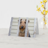 "In the Doghouse" Karte (Gelbe Blume)