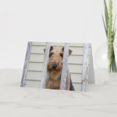 "In the Doghouse" Karte (Vorderseite)