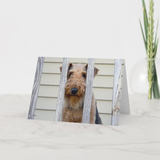 "In the Doghouse" Karte (Vorderseite)