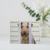 "In the Doghouse" Postkarte (Stehend Vorderseite)