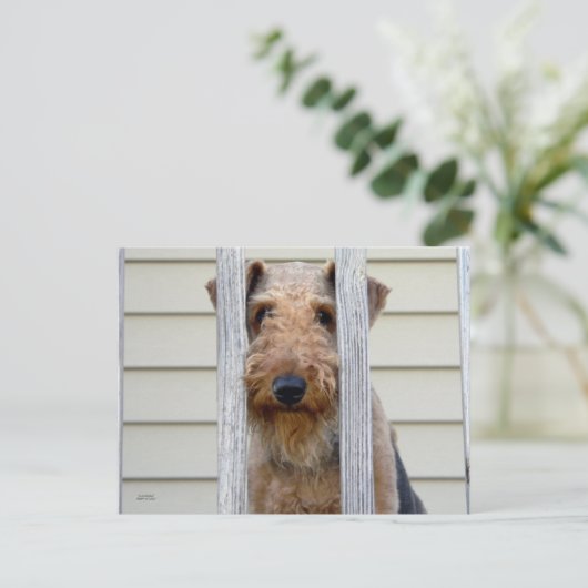 "In the Doghouse" Postkarte (Stehend Vorderseite)