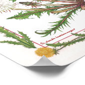 In the Garden ~ Dandelion Poster (Ecke)