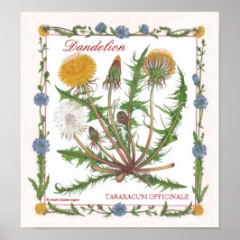 In the Garden ~ Dandelion Poster
