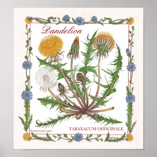 In the Garden ~ Dandelion Poster (Vorne)