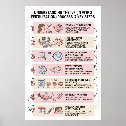 In-Vitro-Fertilisation (IVF) Prozess erklärt: 7  Poster (Vorne)
