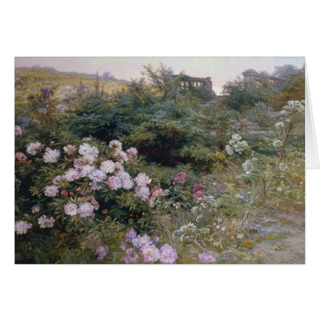 In voller Blüte (Vorderseite (Horizontal))