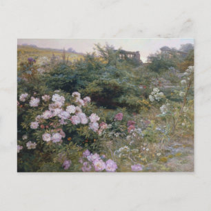 in voller Blüte Postkarte