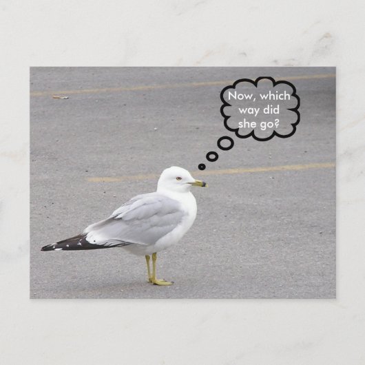 In welche Richtung? Postkarte (Vorderseite)