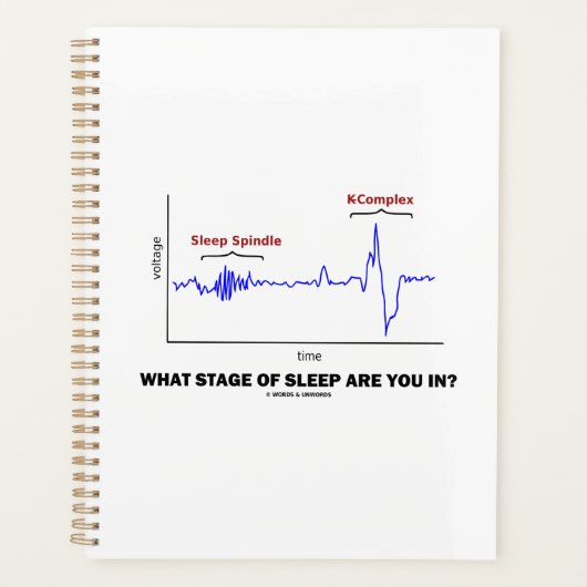 In welcher Bühne schlafen Sie? Planer (Vorderseite)